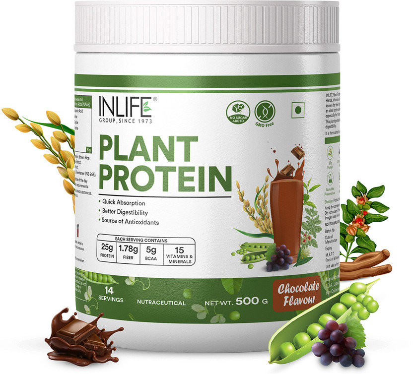 INLIFE Vegan Plant Based Protein Powder 24g Protein Men Women (500g, Chocolate) Plant-Based Protein(500 g, Chocolate)