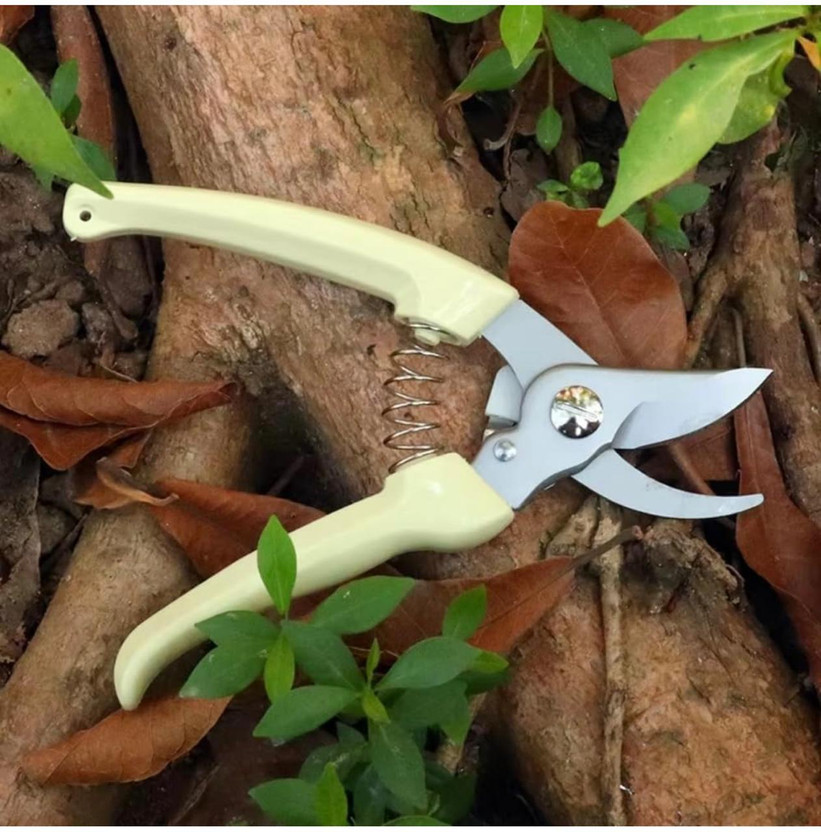 REYCONA REYCONA Garden pruning shears Cutter For Home Garden | Flower Branch Sharp Cutter | Garden Pruning Shears Bypass Pruner(Manual) - Flipkart Deal