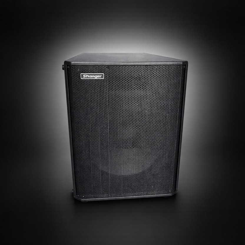 stranger stranger PM162 Indoor, Outdoor PA System(160 W) - Flipkart Deal