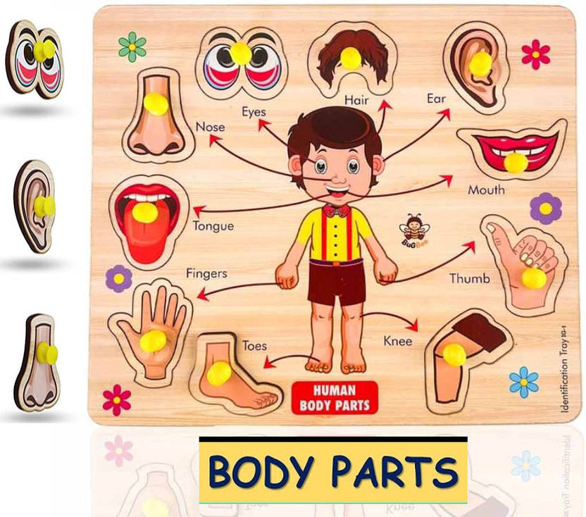 FORSIKHA Pictures Wooden Learning Toys Montessori Parts of Human Body Body Part Puzzle(9 Pieces)