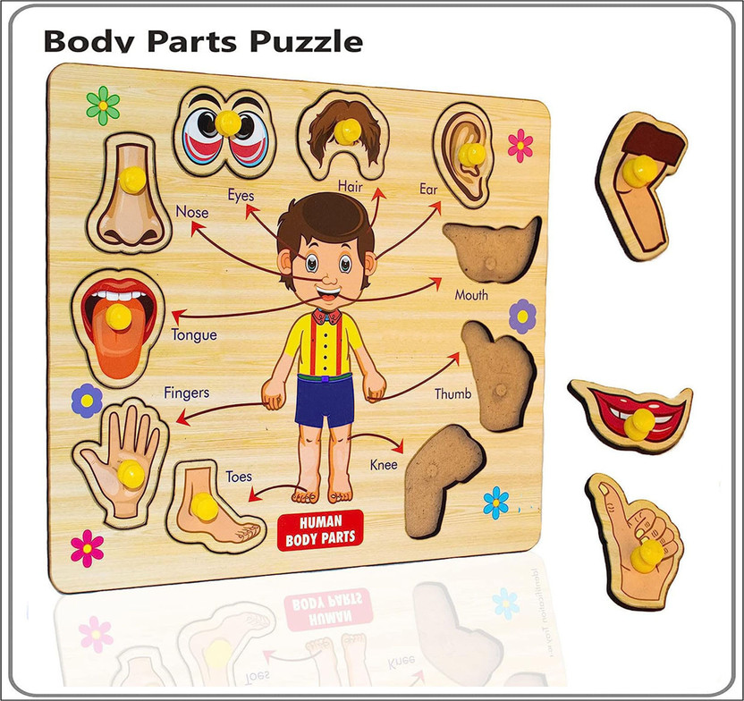 CASADOMANI CASADOMANI Wooden Human Body Parts Shape Matching Board Learn Parts of Body Puzzle(1 Pieces) - Flipkart Deal