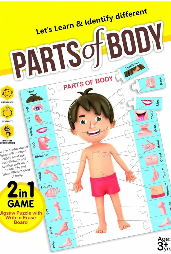 Online Aangan Parts Of Body Jigsaw Puzzle With 2 In 1 Write and Wipe Board With Body Parts(1 Pieces)