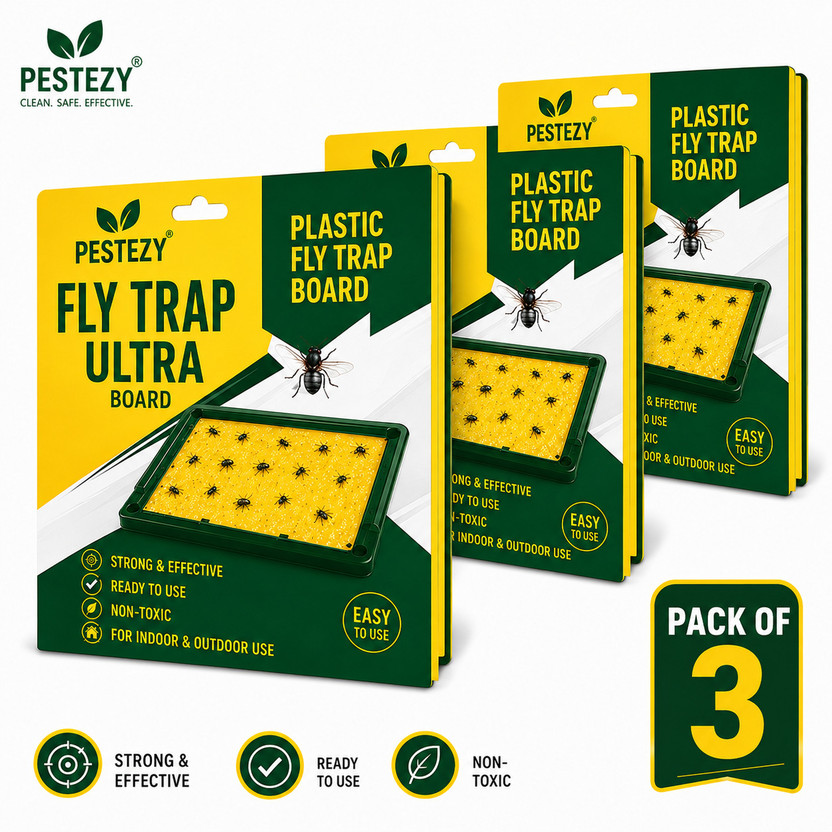 PESTEZY PESTEZY pest control pack of 3 best quality Live Trap - Flipkart Deal