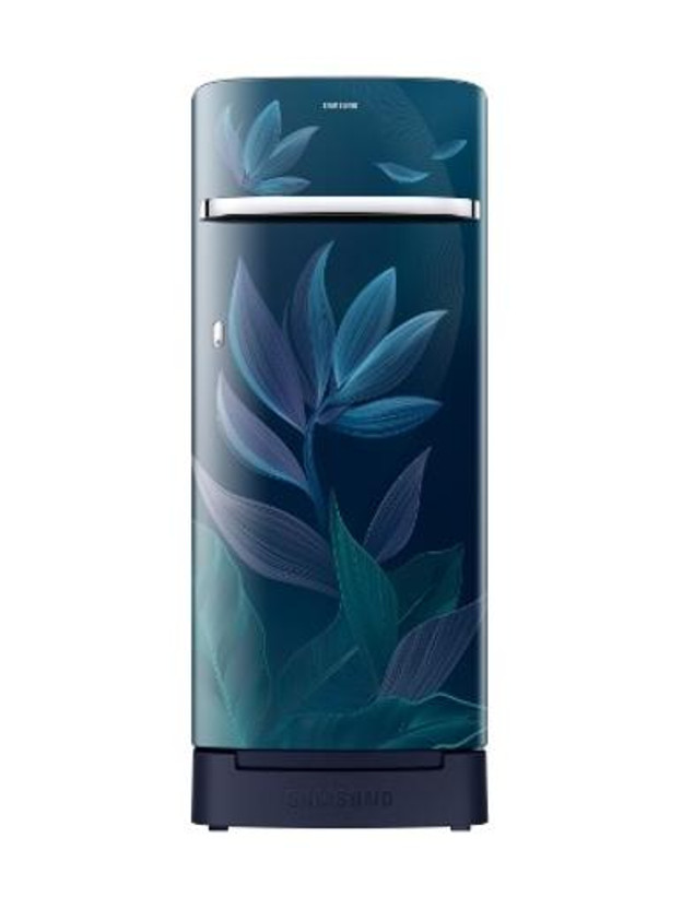 Samsung Samsung 215 L Direct Cool Single Door 5 Star Refrigerator(Paradise Bloom Blue, RR23H2H359U/HL) - Flipkart Deal