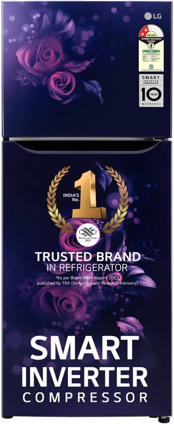 LG 242 L Frost Free Double Door 2 Star Refrigerator (Blue Euphoria, GL-N292BBEY)