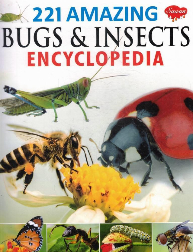 221 221 Amazing Bugs And Insects Encyclopedia | English Illustrated Kids Reference Book By Sawan(Paperback, Generic) - Flipkart Deal
