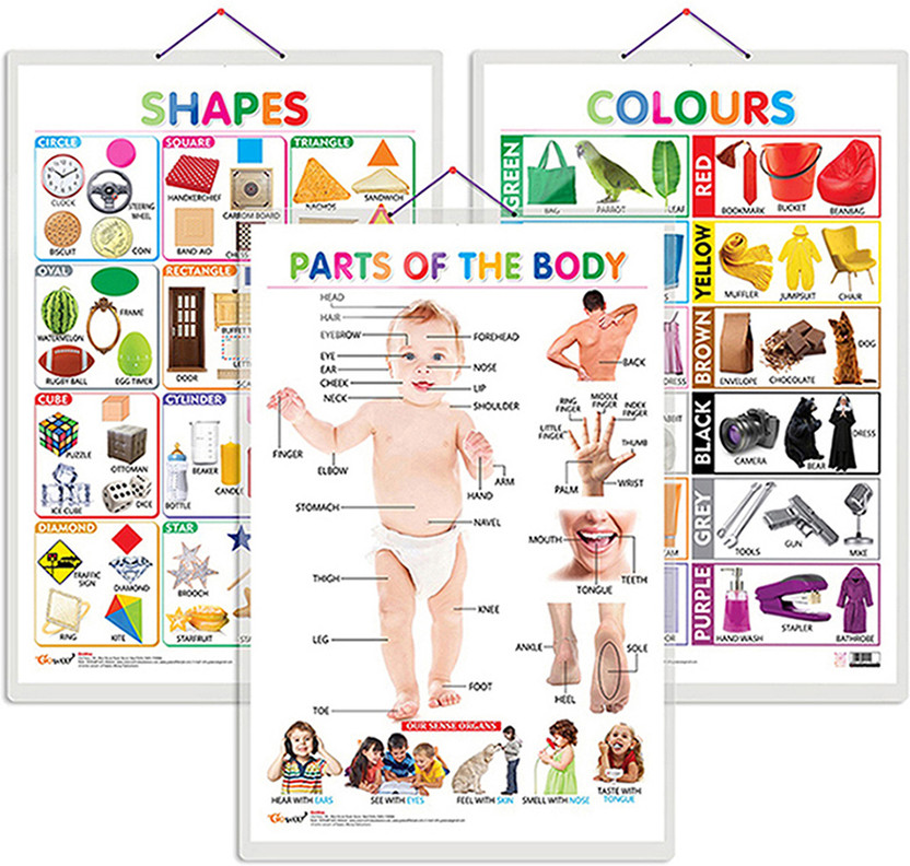 Gift Pack Of 3 Colours, Shapes And Parts Of The Body Charts | Wall Posters For Room Decor High Quality Paper Print With Hard Lamination (20 Inch X 30 Inch, Rolled)(Hardcover, Sahil)