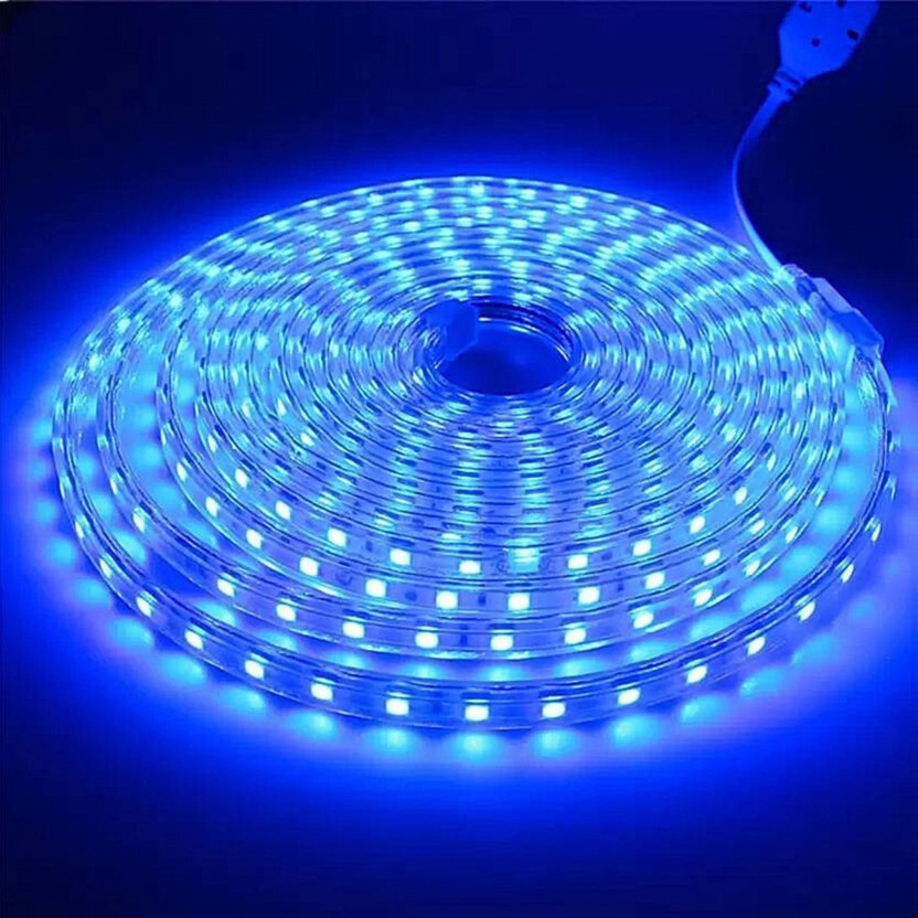 Volt Vision 1200 LEDs 5 m Blue Steady Strip Rice Lights(Pack of 1)