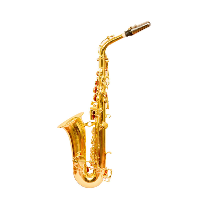 SKYLARK INTERNATIONAL SEXPHNGLD004 SEXPHNGLD004 Alto Saxophone(GOLD, Sax Case Included)