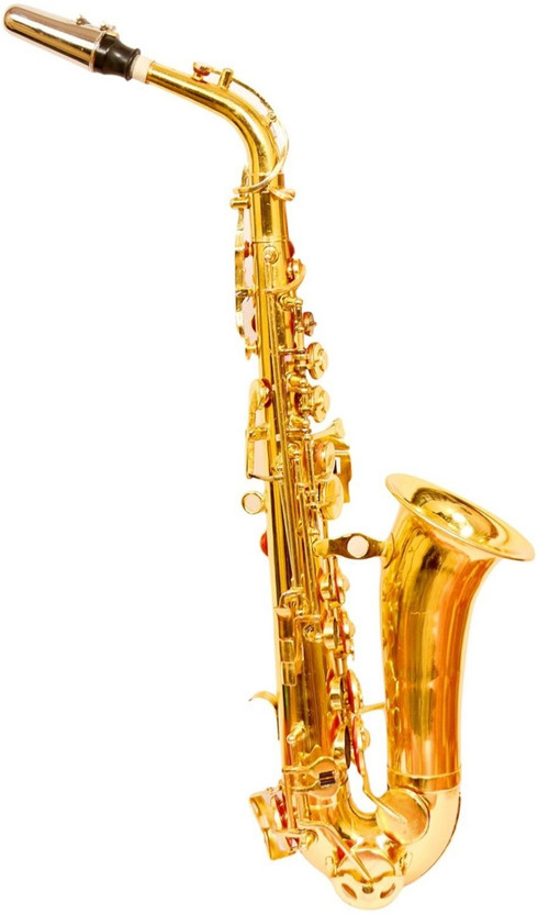 YORBAX Saxophone Pold Polish Alto Saxophone (golden, Sax Case Included) YRX1 Alto Saxophone(GOLDEN, Sax Case Included)