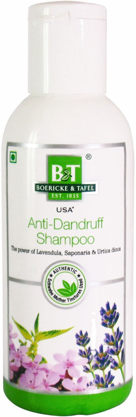Dr.Willmar Dr.Willmar Schwabe India B&T Anti Dandruff Shampoo (pack of 1)(150 ml) - Flipkart Deal