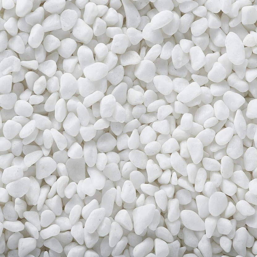 Nitishree White Chip for aquarium accessory stones Garden, Aquarium, Gardens, , Decoration Gravel Planted Substrate(White, 1 kg)