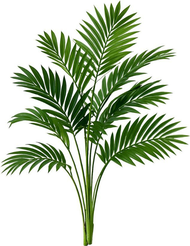De Gardenia Artificial Areca Palm Plant with 12 Leaves Artificial Plant(60 cm, Green)