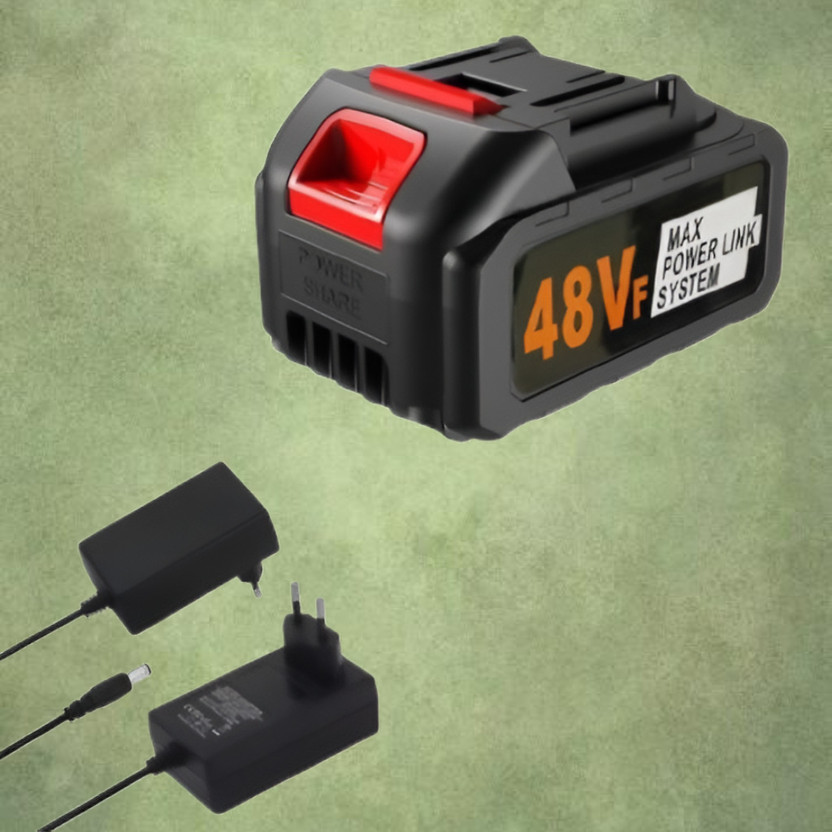 ASEBHARI 48VF Power Share System  Pack and AC DC Wall Plug Charger Cable Set  Battery
