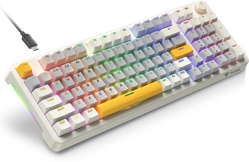 RAEGR MechGear X100 Mechanical Gaming Keyboard, 98 Keys , Rainbow Backlit Wired USB Standard Gaming Keyboard Compatible with Laptop, Desktop(Retro Cream&Grey)