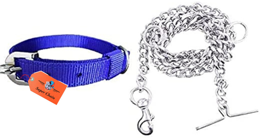 SUPER CHAIN Dog Belt Combo Nylon Collar with Heavy Chain Leash Dog Collar & Leash(Medium, Blue)