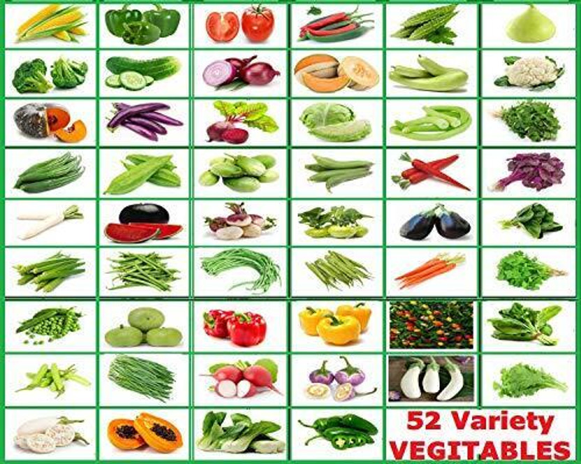 Greenery Hub 52 Varieties Vegetable Seeds Combo Pack Perfect for Home Gardening Seed(10 per packet)