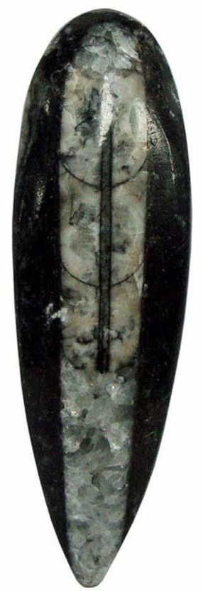 Shubhanjali finance stone for money & success | vastu stone for home & office Decorative Showpiece  -  2 cm(Crystal, Grey)