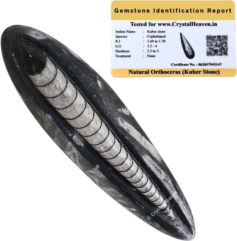 Crystal Crystal Heaven Certified Original Kuber Stone-Orthoceras Crystal for Healing Purposes 2-3' Decorative Showpiece  -  7 cm(Stone, Black) - Flipkart Deal