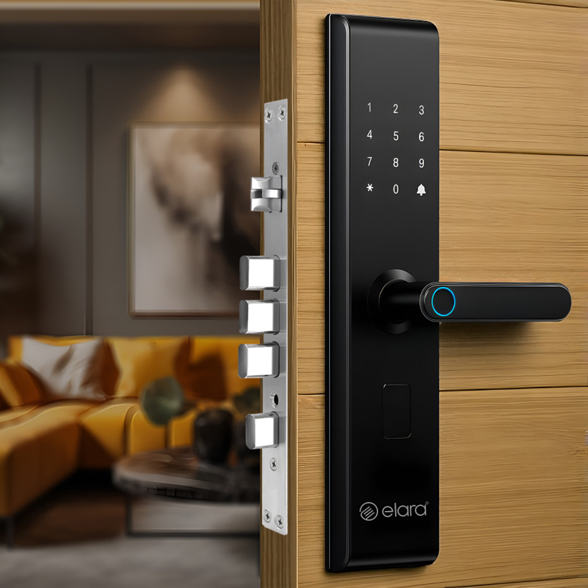 Elara Echo Lite Basic Smart Door Lock(Black)