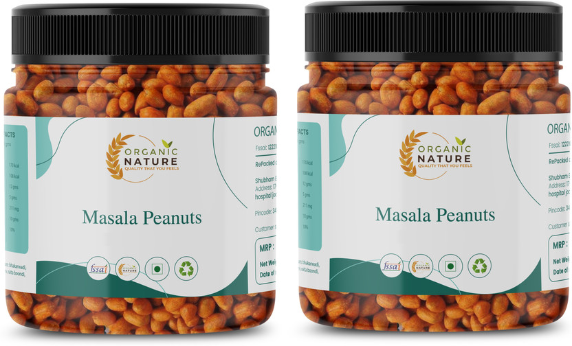 ORGANIC NATURE Masala Peanuts | Delicious Indian Snack Namkeen(2 x 250 g)