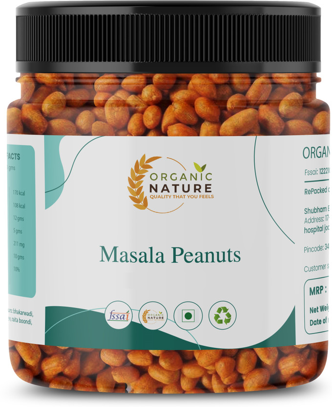 ORGANIC NATURE Masala Peanuts | Delicious Indian Snack(250 g)
