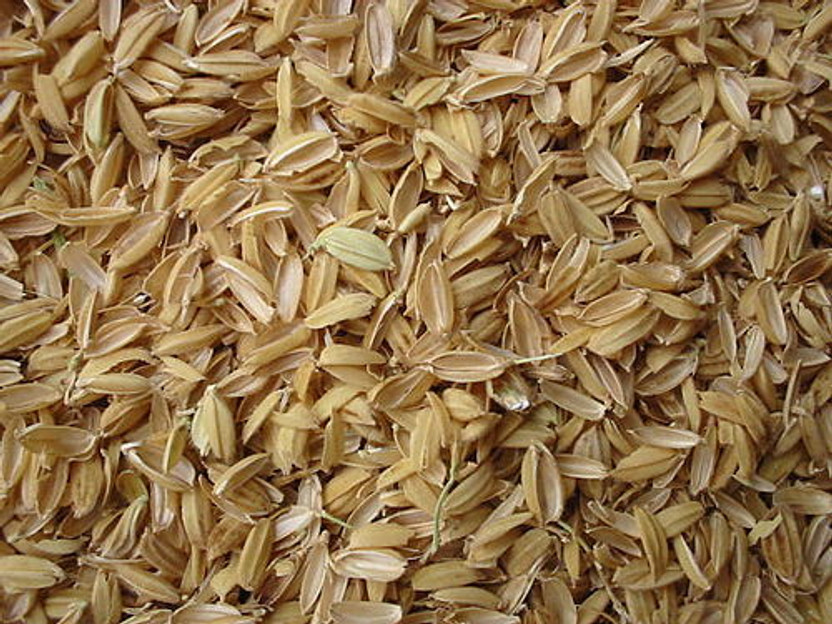 DhartiCare Rice Husk Compost (Kisan ka Bharosa) Husk, Fertilizer, Potting Mixture, Manure(5 kg, Granules)