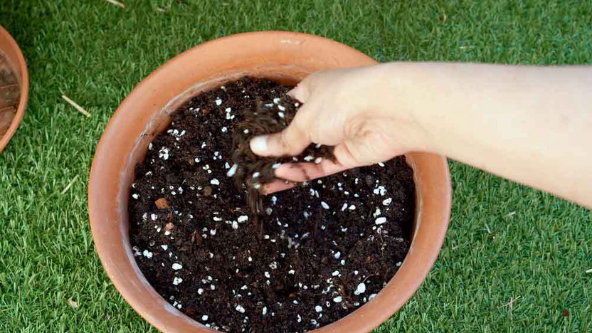 LoveGreen Potting Mixure Potting Mixture(8000 g, Powder)