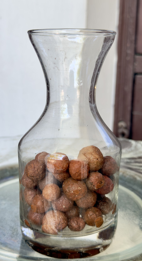 EKTAECOINDUSTRIES LIGHTWEIGHT EXPANDED CLAY AGGREGATES/EEI/10L Potting Mixture(10 L, Pellets)