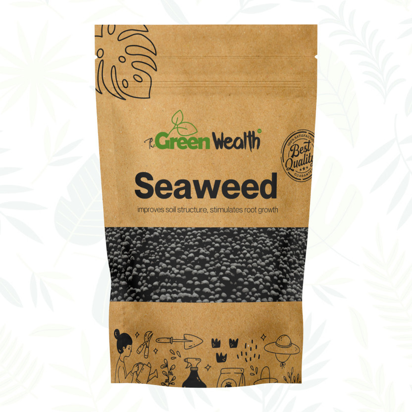 TheGreenWealth Seaweed Extract Granules Fertilizer for Plants - 500gm Fertilizer(0.5 kg, Granules)