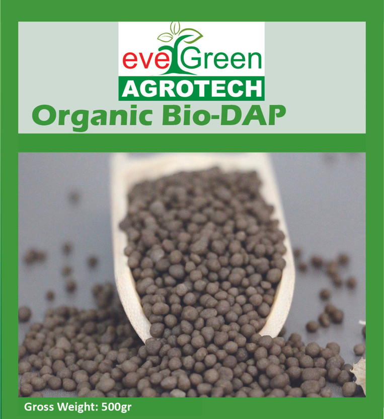 Argo Tech Evergreen Organic Bio DAP Fertilizer help in Plant Growth Fertilizer(0.5 kg, Granules)