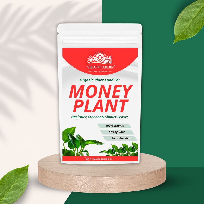 VIDA DE JARDIN Premium Money Plant Fertilizer for Lush Leaves and Prosperous Growth Fertilizer(0.9 kg, Powder)