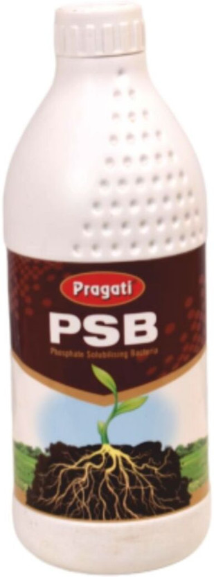 PRAGATI PRAGATI PSB (Phosphate Solubilizing Bacteria ) Biofertlizer Fertilizer(1 L, Liquid) - Flipkart Deal