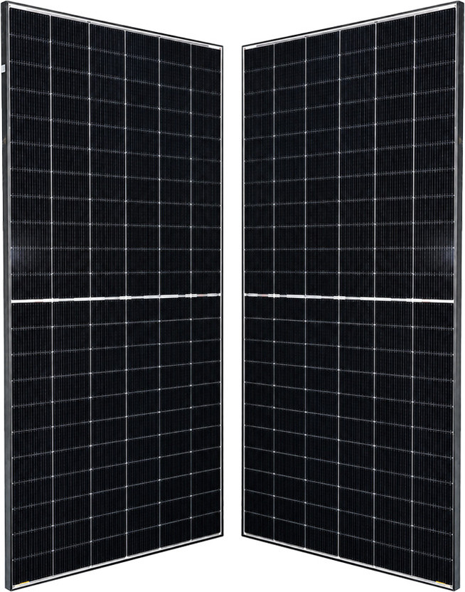 LOOM SOLAR 600 Watt TOPCon Bifacial High Efficiency Solar Panel(Pack of 2)