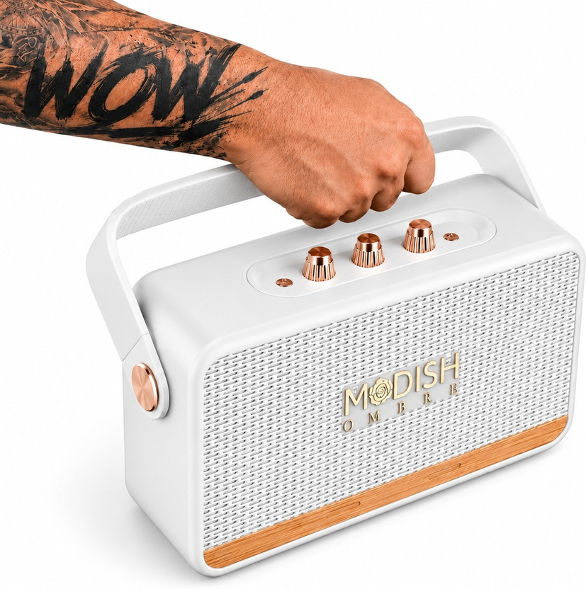 ModishOmbre Basson Wireless Bluetooth Speaker 30W, USB, TF, FM, Type-C, 20H Playback 30 W Bluetooth Party Speaker(White, Stereo Channel)