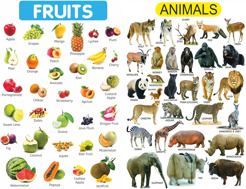 Fruits with Animals Chart Poster For Tution,Home,School Decor Vinayl Sticker Pack of 2(13X19 inch) Paper Print(33.02 inch X 48.26 inch)