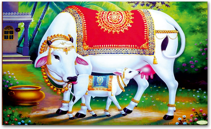 Cow Kamdhenu Poster For Home Decor Vinayl Sticker Thick (13X19 inch) Paper Print(33.02 inch X 48.26 inch)