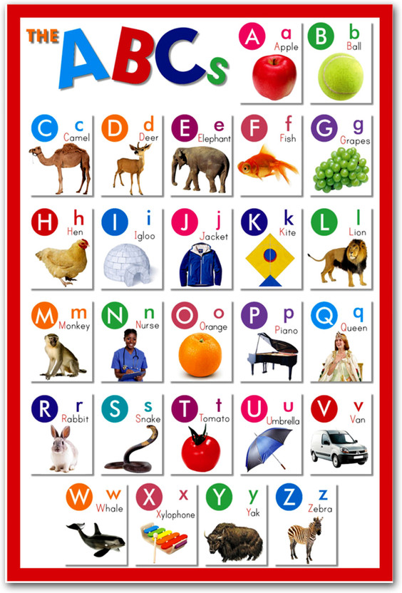 Alphabet Wall Poster For Home Decor Vinayl Sticker 300GSM Thick (13X19 inch) Paper Print(33.02 inch X 48.26 inch)