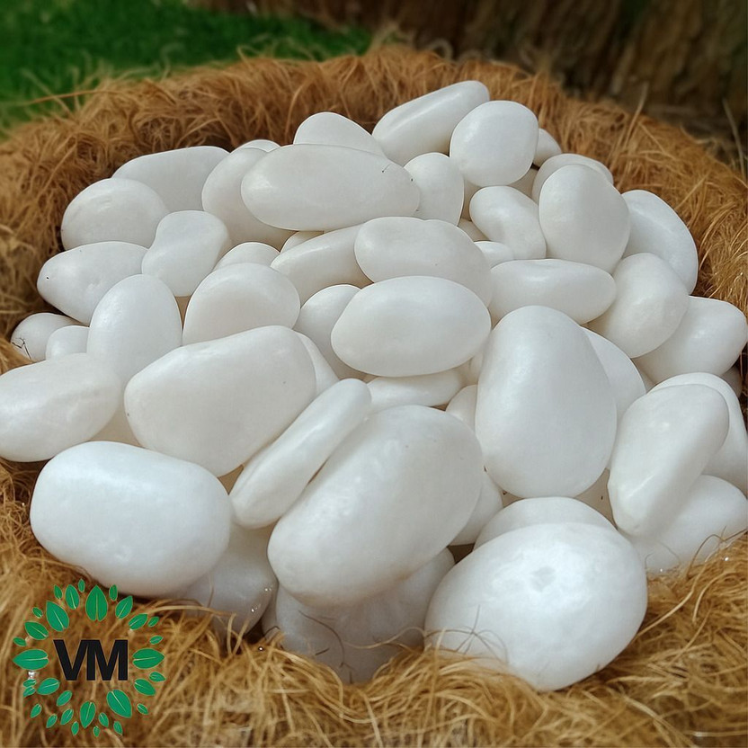 VM ENTERPRISES Decorative White Pebbles 1kg – Glossy Stones for Aquarium, Garden & Home Décor Polished Asymmetrical Quartz Pebbles(White 1 kg)