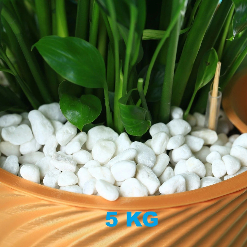 SMAB White Decorative Pebbles 5 Kg | Aquarium Plant Pot Garden Decor Stones Polished Asymmetrical Marble Stone(White 5 kg)