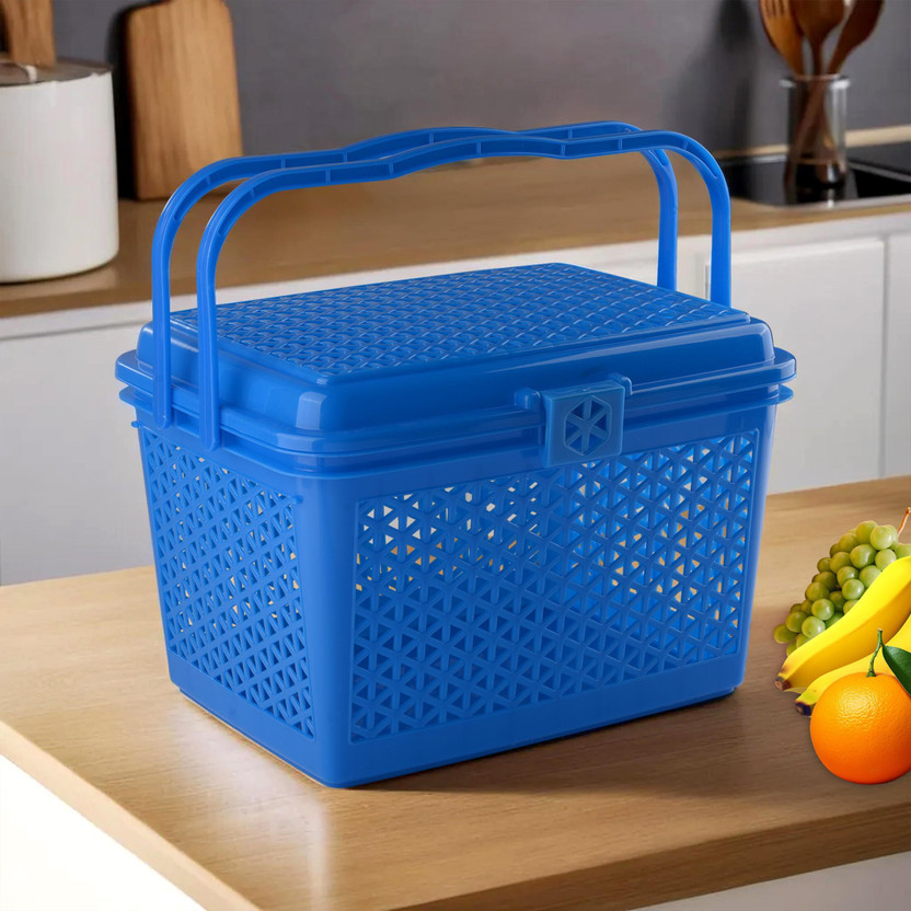 HOMESTIC HOMESTIC Plastic Plastic Trendy Shopping Storage Basket with Handles - Big (Blue) Storage Basket(Pack of 1) - Flipkart Deal