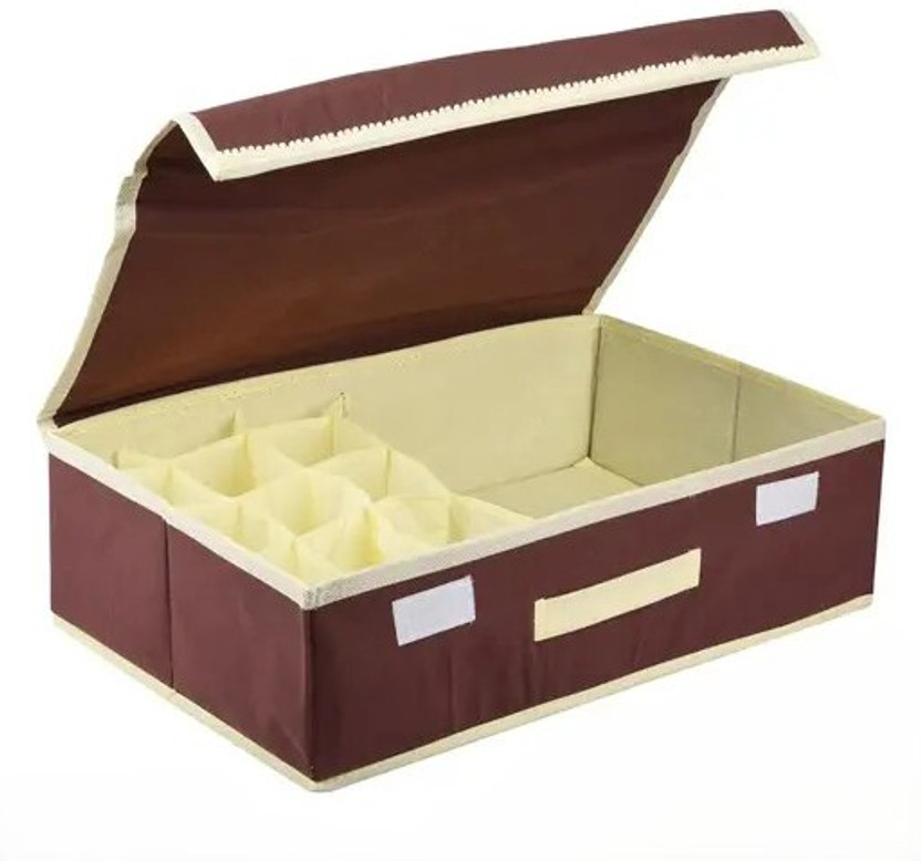 STYLEOLO Lingerie Storage Case(Bra and Panty, Pack of 1)