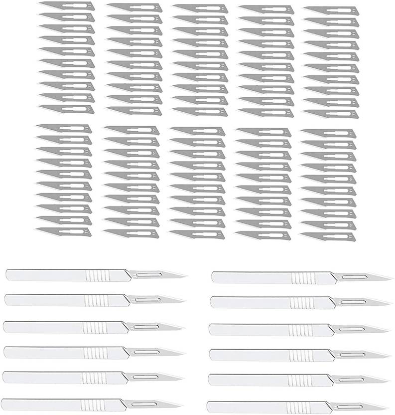 wroughton Carbon Steel Surgical Scalpel Blades 100 Pcs Blade With 12