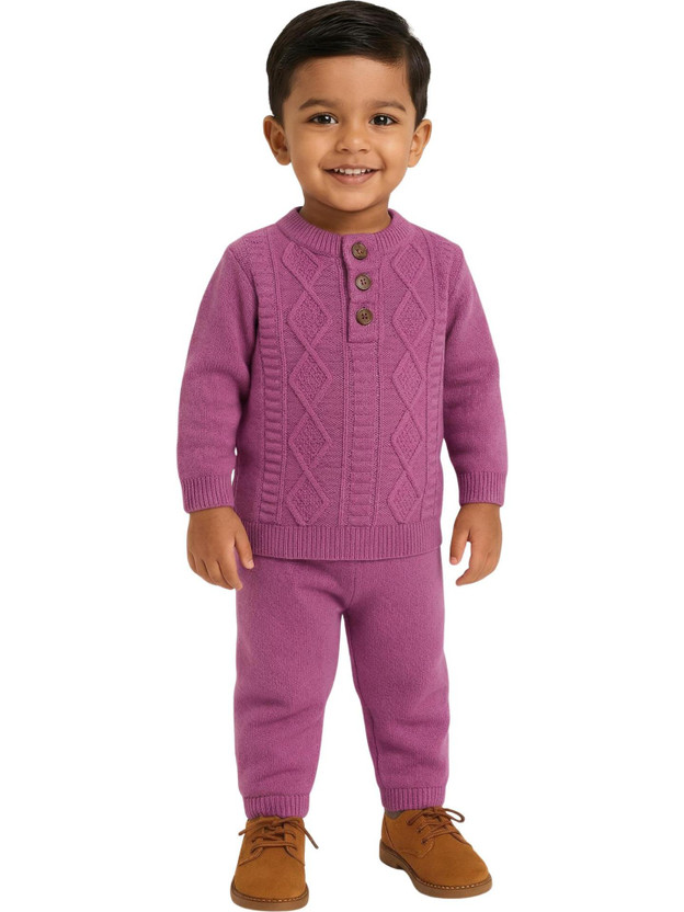 GTwo Self Design Round Neck Casual Baby Boys Purple Sweater