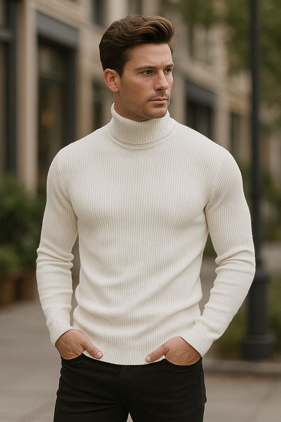 AZIZAN Full Sleeve Self Design Men Sweatshirt