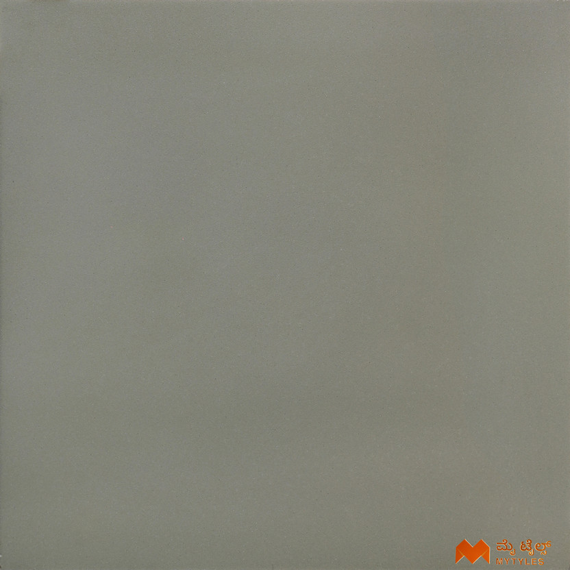 Mytyles Vitrified Green Full Body Floor and Wall Tile Code37112 (600x600mm, Matt) Matt Natural(Vitrified Tile, Pack of 4)