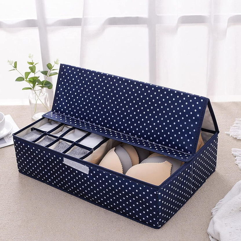 RADHE ALLIANCE Lingerie Storage Organizer Undergarments Organizer With Lid(Blue)