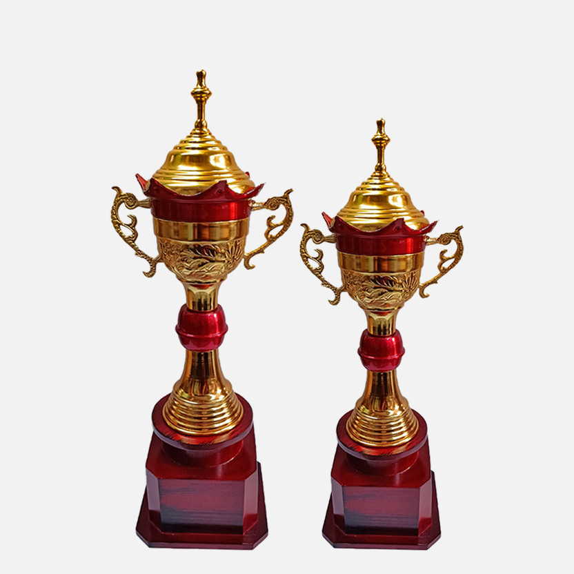 Flipkart BAREEZÉ PURE 22"Inch 20"Inch Trophy for Cricket tournament, Sport, Academy, Awards, School Trophy(22"Inch / 20"Inch) - Flipkart Deal