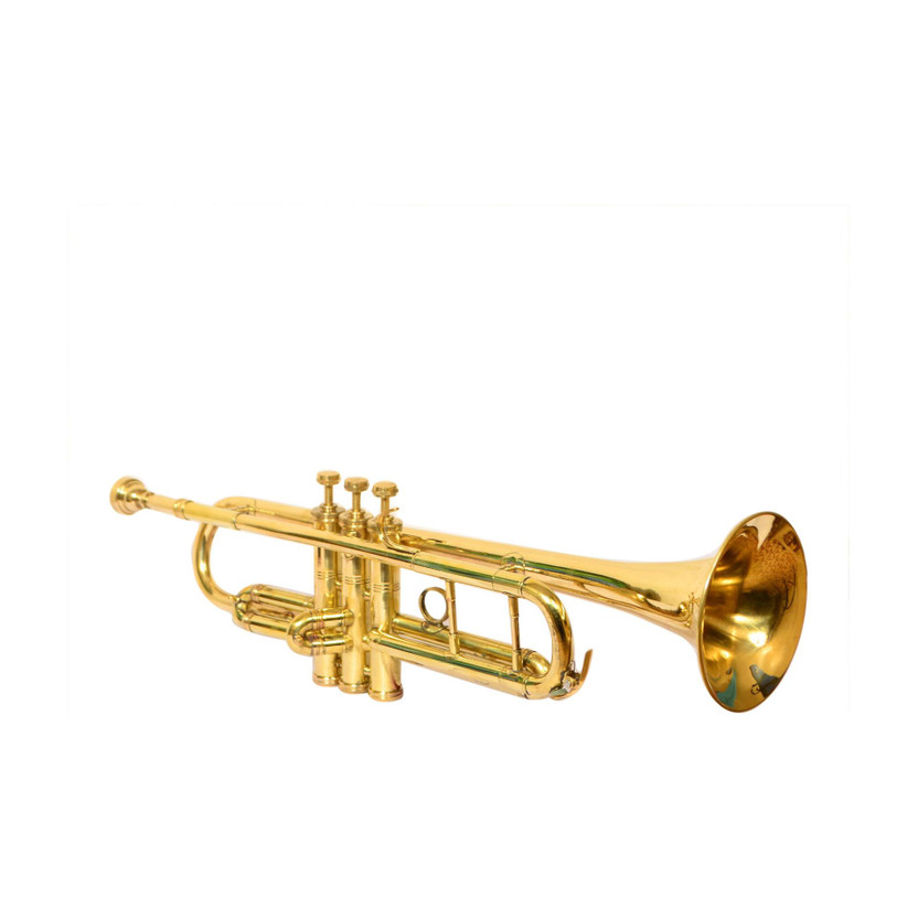 SKYLARK SKYLARK INTERNATIONAL TRMP02 Bb Trumpet(BRASS POSH) - Flipkart Deal