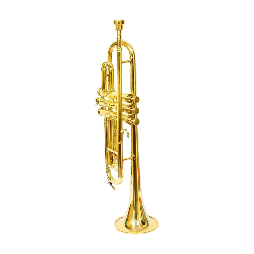 Vivi5 bb gold Bb Trumpet(yes)
